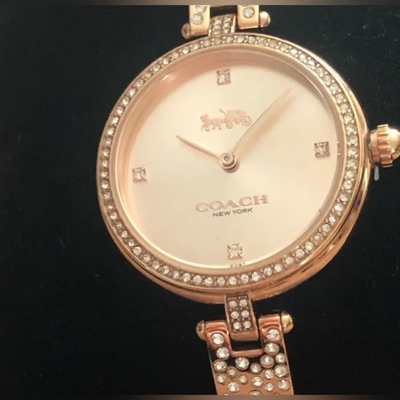 Coach Watch - Picture 3 of 7